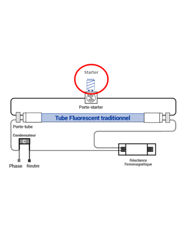 Starter pour TUBE FLUORESCENT T8 4 à 22W