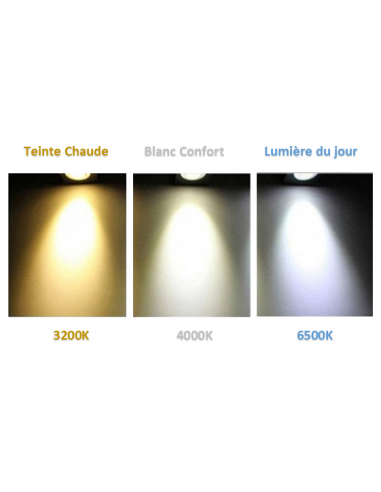 Hublot LEDS 15W ovale blanc CCT 3000/4000/6500K