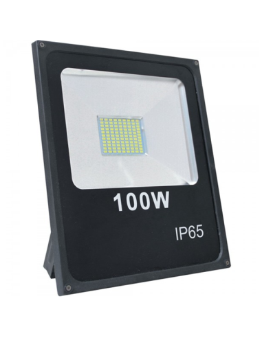 Projecteur LEDS étanche 100W Vert