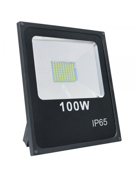 Projecteur LEDS étanche 100W Vert